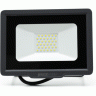 Прожектор JAZZWAY PFL-C3 10w compact 6500K IP65 5023529